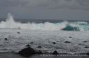 Hawaii-366.jpg