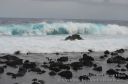 Hawaii-370.jpg