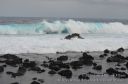 Hawaii-371.jpg