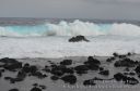 Hawaii-372.jpg