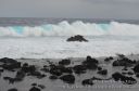 Hawaii-373.jpg