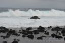 Hawaii-374.jpg