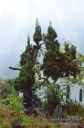 Hawaii-410.jpg