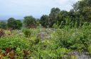 Hawaii-430.jpg