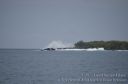 Hawaii-451.jpg