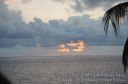 Hawaii-463.jpg