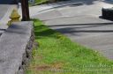 Hawaii-480.jpg