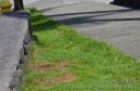 Hawaii-483.jpg
