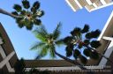 Hawaii-549.jpg