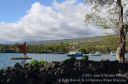 Hawaii-564.jpg