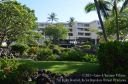 Hawaii-566.jpg