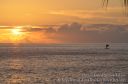 Hawaii-602.jpg
