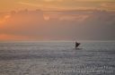 Hawaii-606.jpg