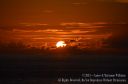 Hawaii-610.jpg
