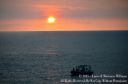 Hawaii2015-102.jpg