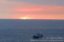 Hawaii2015-106.jpg