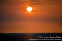 Hawaii2015-109.jpg