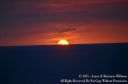 Hawaii2015-115.jpg