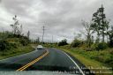 Hawaii2015-134.jpg