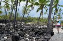 Hawaii2015-202.jpg