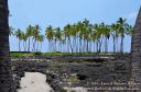Hawaii2015-206.jpg