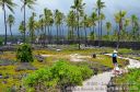 Hawaii2015-207.jpg