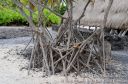 Hawaii2015-221.jpg
