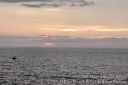 Hawaii2015-236.jpg