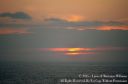 Hawaii2015-239.jpg