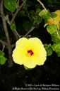 Hawaii2015-242.jpg