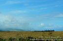 Hawaii2015-296.jpg