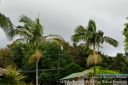 Hawaii2015-311.jpg