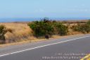 Hawaii2015-393.jpg
