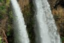 Hawaii2007-0538.jpg