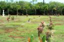 Hawaii2007-0557.jpg