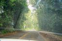 Hawaii2007-0561.jpg
