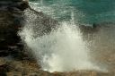 Hawaii2007-0565.jpg
