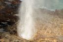 Hawaii2007-0566.jpg