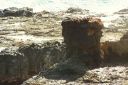 Hawaii2007-0577.jpg