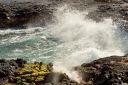 Hawaii2007-0579.jpg