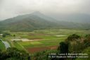 Kauai-098.jpg