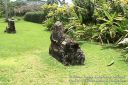 Kauai-112.jpg