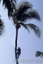 Kauai-120.jpg