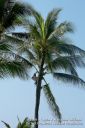 Kauai-121.jpg