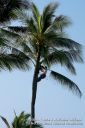 Kauai-122.jpg