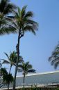 Kauai-124.jpg