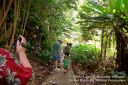 Kauai-137.jpg