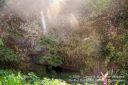 Kauai-140.jpg