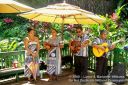 Kauai-149.jpg