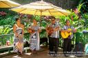 Kauai-150.jpg